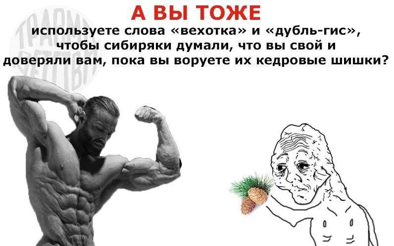 А ВЫ ТОЖЕ используете слова «вехотка» и «дубль-гис», чтобы сибиряки думали, что вы свой и вам, пока вы воруете кедровые шишки? 7