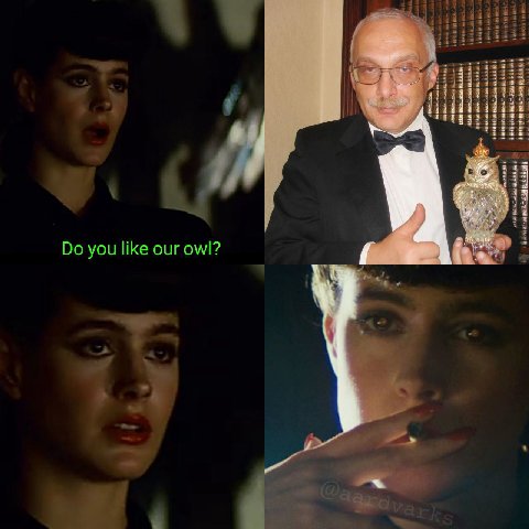 you like our owl?