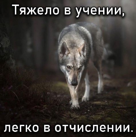 Тяжело в учении, легко в отчислении.
