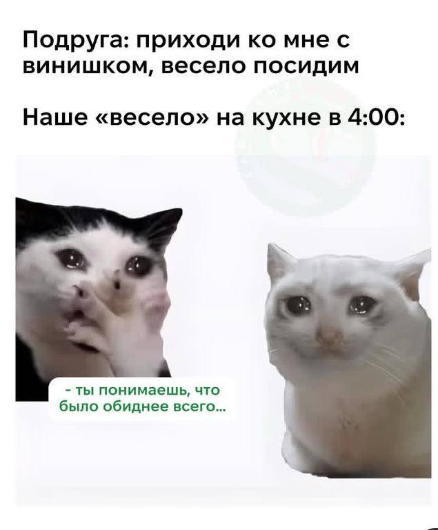 Подруга: приходи мне с винишком, весело посидим Наше «весело» на кухне в 4:00: ты понимаешь, что было обиднее всего...