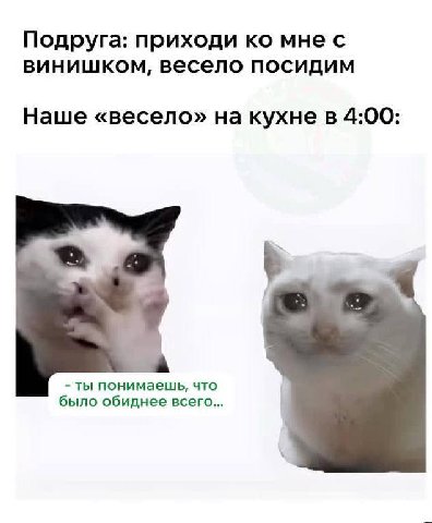Подруга: приходи мне с винишком, весело посидим Наше «весело» на кухне в 4:00: ты понимаешь, что было обиднее всего...