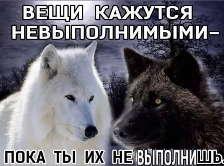 В НЕВЫПОЛНИМЫМИ ПОКА
