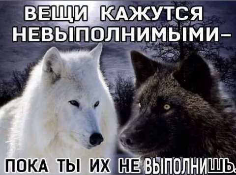 В НЕВЫПОЛНИМЫМИ ПОКА