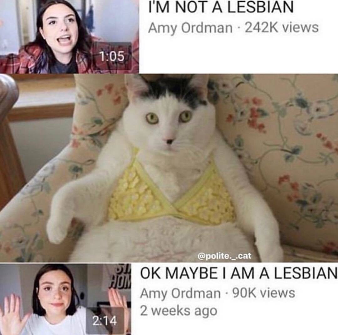 NOT ALESBIAN Amy Ordman views и 5 @polite._.cat MAYBE А LESBIAN Amy Ordman views 2 weeks ago 2:14