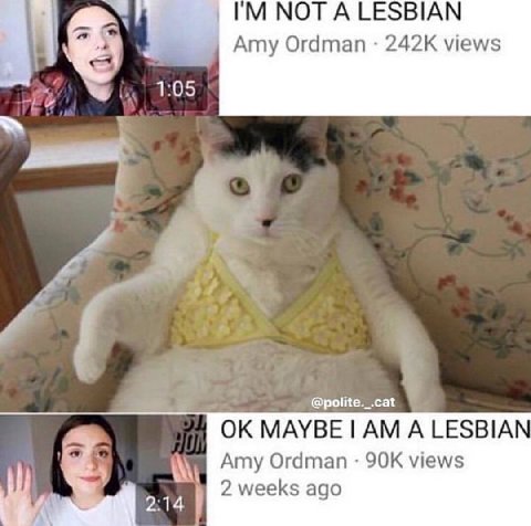 NOT ALESBIAN Amy Ordman views и 5 @polite._.cat MAYBE А LESBIAN Amy Ordman views 2 weeks ago 2:14