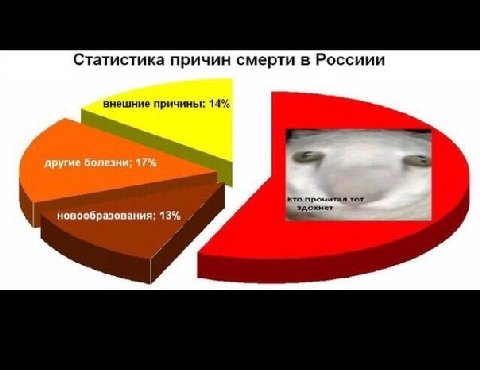 Статистика причин смерти в Россиии внешние причины: 14% кто прочитал тот здохнет новообразования; 13%