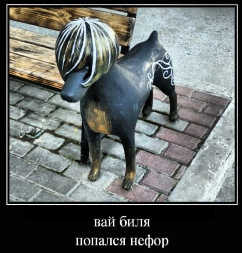 7 7 52 вай попался нефор