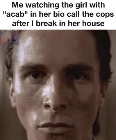 Me watching the girl with "acab" in her bio call the cops after break in her house