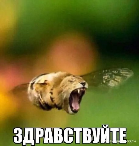ЗДРАВСТВУЙТЕ
