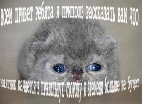 О