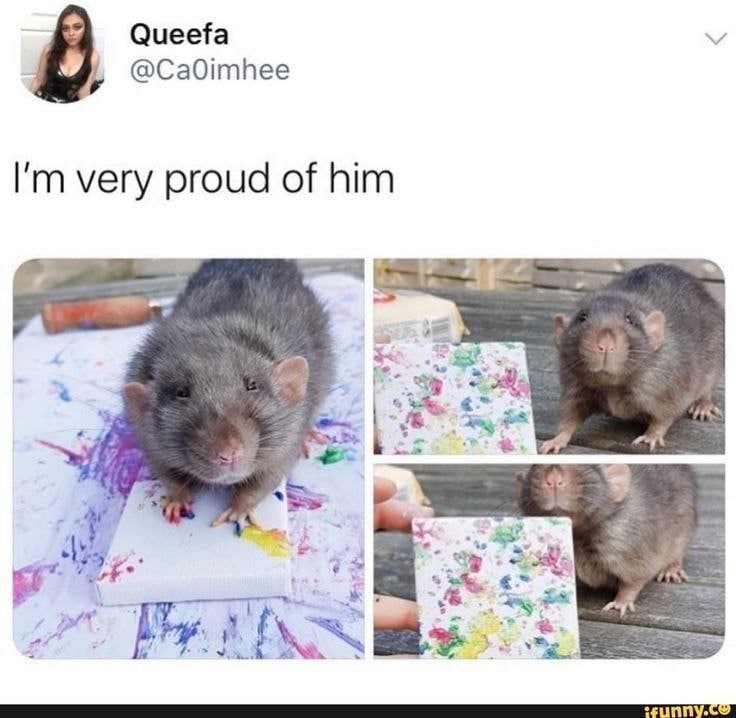 Queefa 8 very proud of him и,