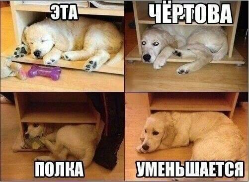 ЭТА ЧЕРТ OBA У 7 non УМЕНЬШАЕТСЯ