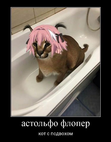 астольфо флопер КОТ С ПОДВОХОМ