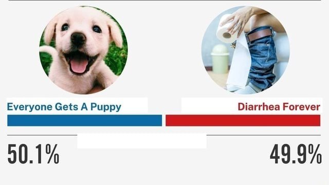 2. 7 Еуегуопе А Рирру Diarrhea Forever 90.1% 49.9%