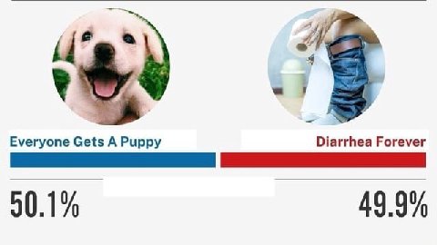 2. 7 Еуегуопе А Рирру Diarrhea Forever 90.1% 49.9%