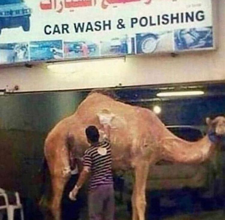 WASH POLIS