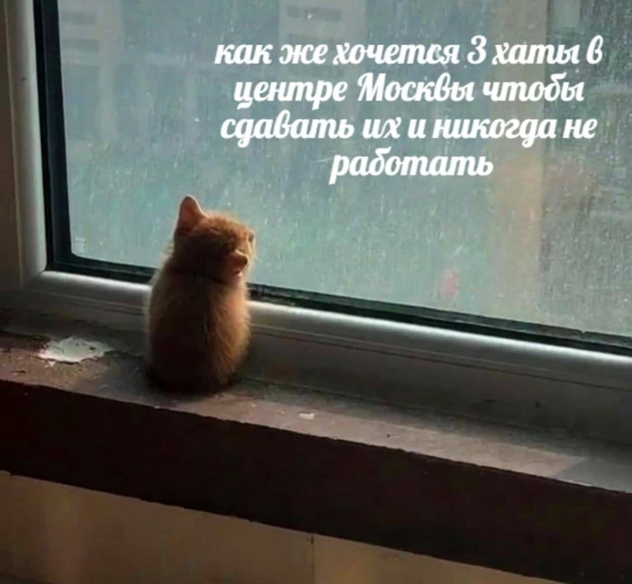 как же хочется 3 хаты 6 центре Москвы сдавать и никогда не работать