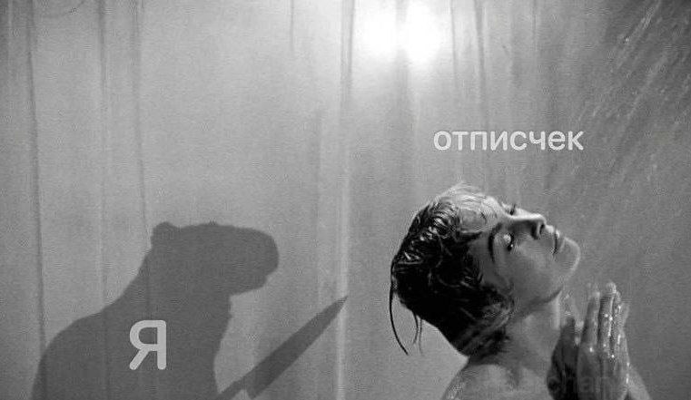 отписчек