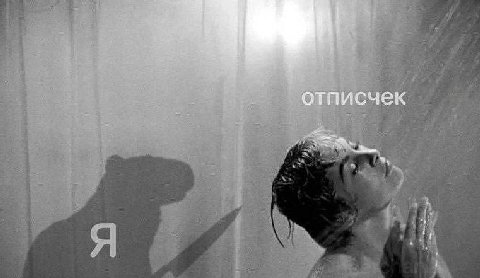 отписчек