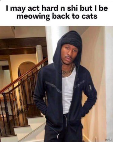 may act hard shi but be meowing back to cats