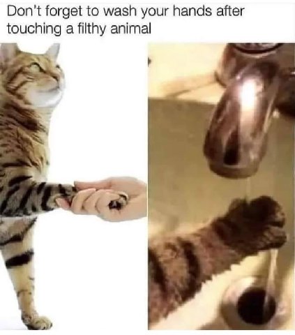 Don’t forget to wash your hands after touching a filthy animal