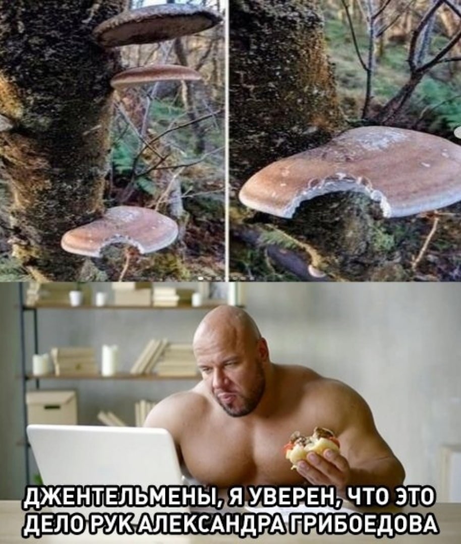 ДЖЕНТЕЛЬМЕНЫ, Я УВЕРЕН, ЧТО ЭТО АЛЕКСАНДРА ГРИБОЕДОВА