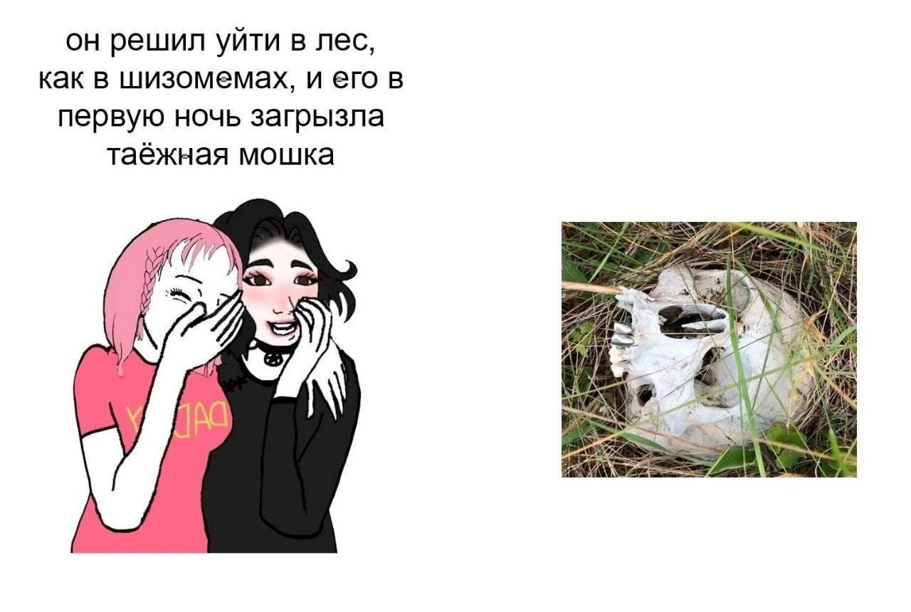 он решил уйти в лес, как в шизомемах, и его в первую ночь загрызла таёжная мошка oN