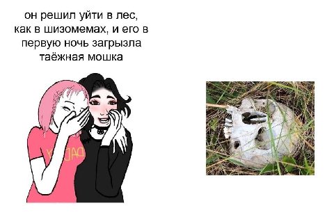 он решил уйти в лес, как в шизомемах, и его в первую ночь загрызла таёжная мошка oN