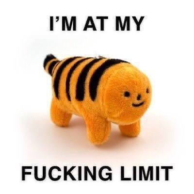 AT FUCKING LIMIT
