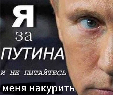 за ПУТИНА И НЕ ПЫТАИТЕСЬ меня накурить