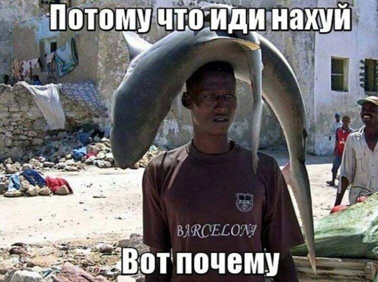 Потомучто-иди нахуй i почему