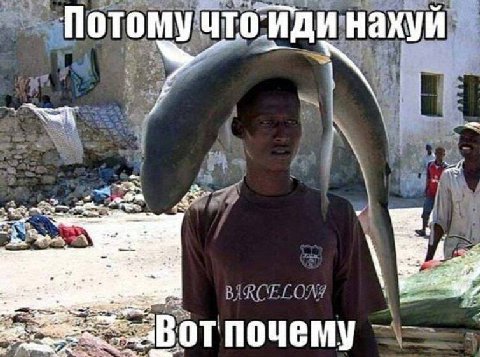 Потомучто-иди нахуй i почему