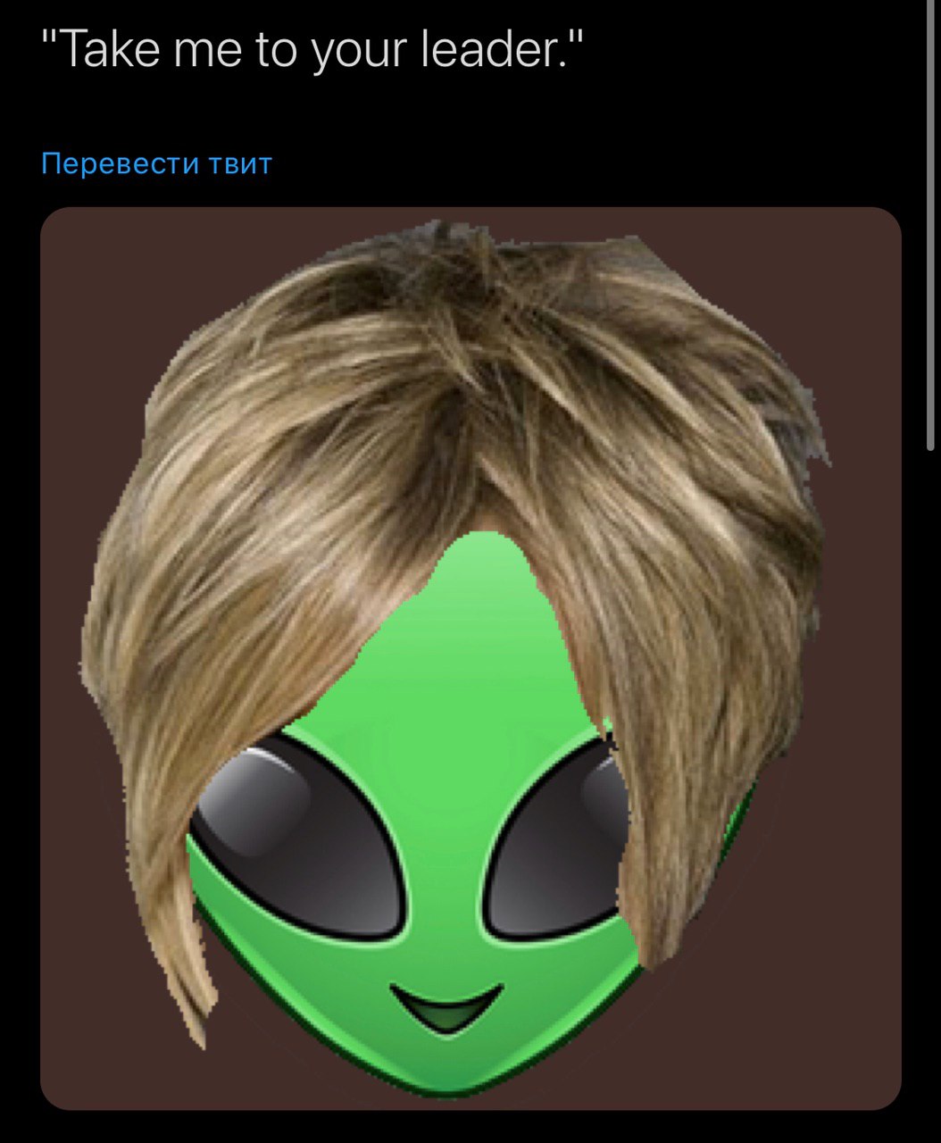 Take me to your leader." Перевести твит 4