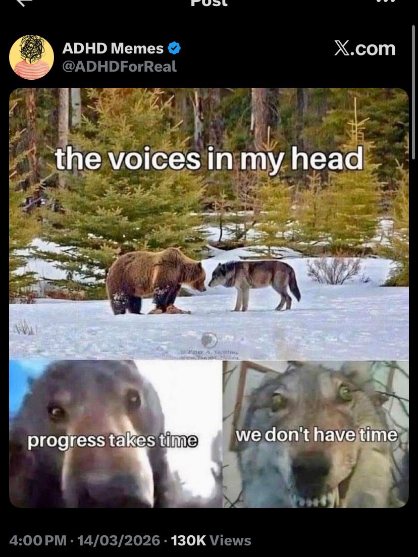 и ADHD Memes Х.сот the voices in my head He we don't have time ргодге$$ takes time