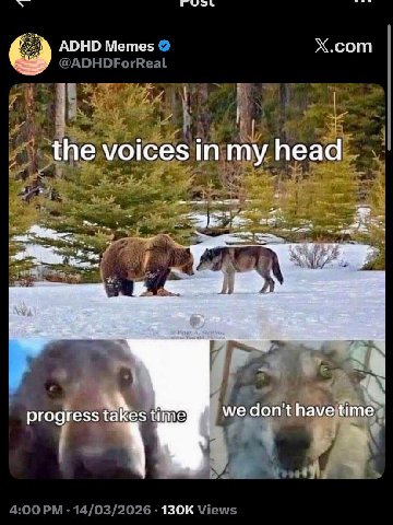 и ADHD Memes Х.сот the voices in my head He we don't have time ргодге$$ takes time