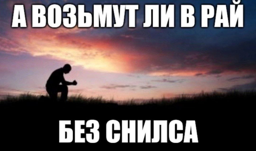 АВОЗЬМУТ ЛИВРАЙ БЕЗ СНИЛСА