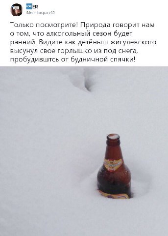 Только посмотрите! Природа говорит нам о том, что алкогольный сезон будет ранний. Видите как детёныш жигулевского высунул свое горлышко из под снега, пробудивштсь от будничной спячки!