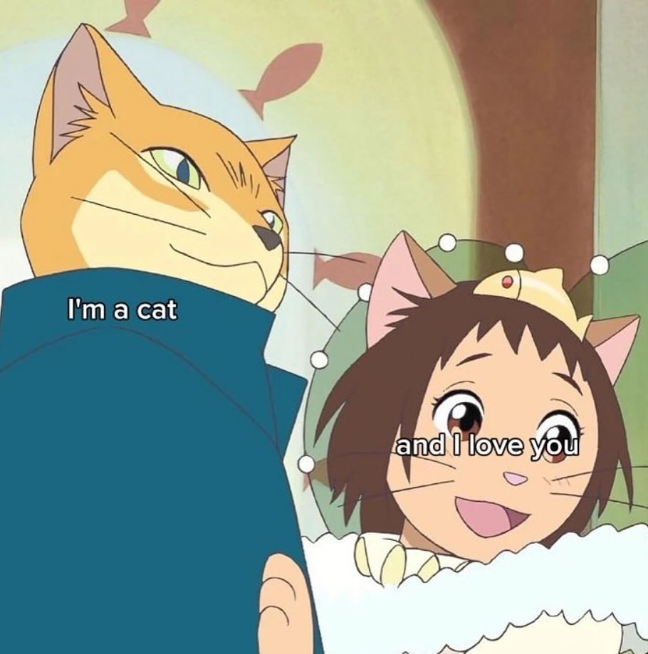 a cat у