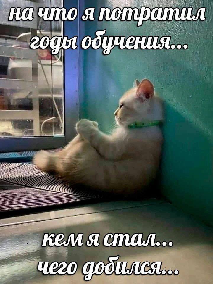 на что я потратил KEM я стал...