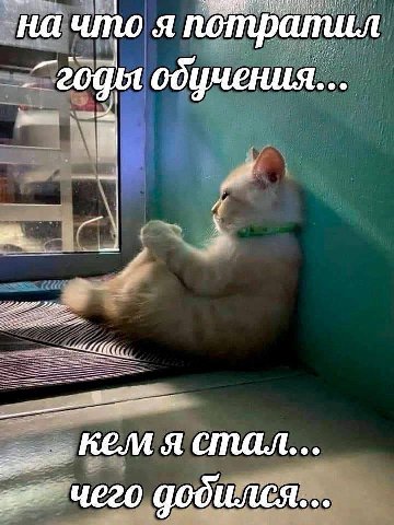 на что я потратил KEM я стал...