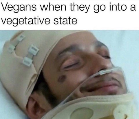 Vegans when they into a vegetative state