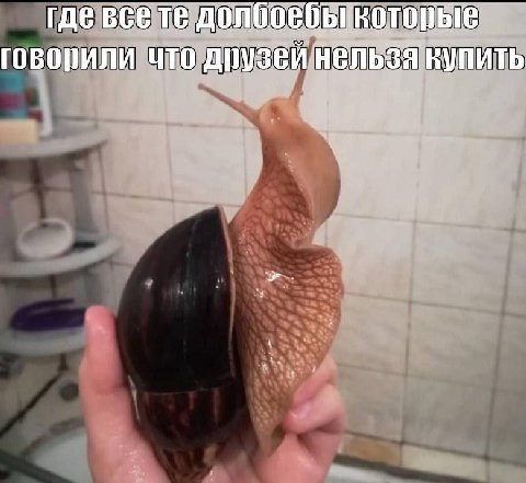 гдевсе говорили что друзви нельзя купить