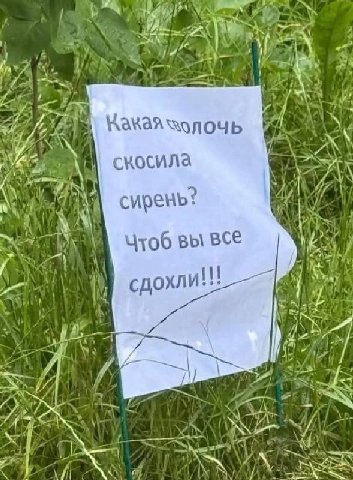 “AT 7 7“ Kakaa сирень? Чтоб вы BCE we be у