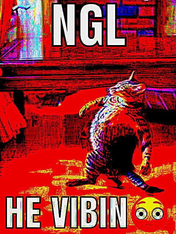 и 4 В 1