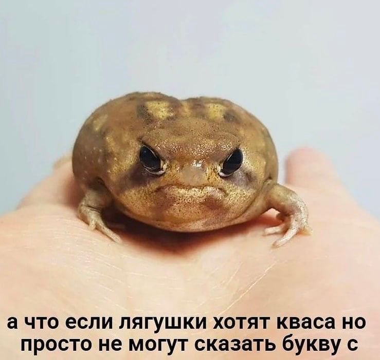 а что если лягушки хотят кваса просто не могут сказать букву с