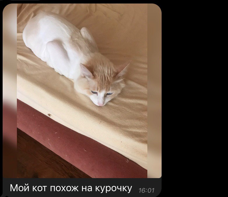 важно