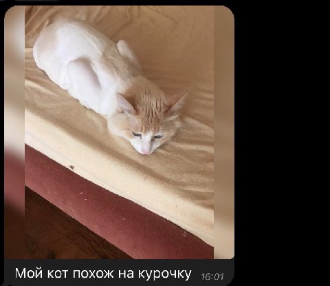 важно
