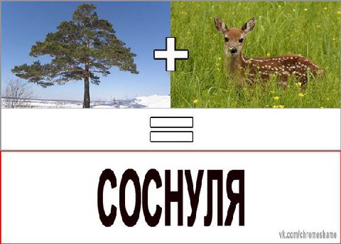 к “A a 3 к у vk.comichromeshame