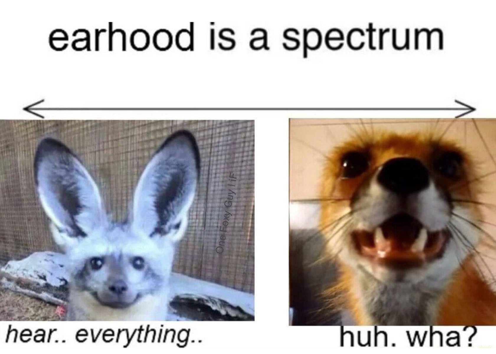 earhood is a spectrum wna