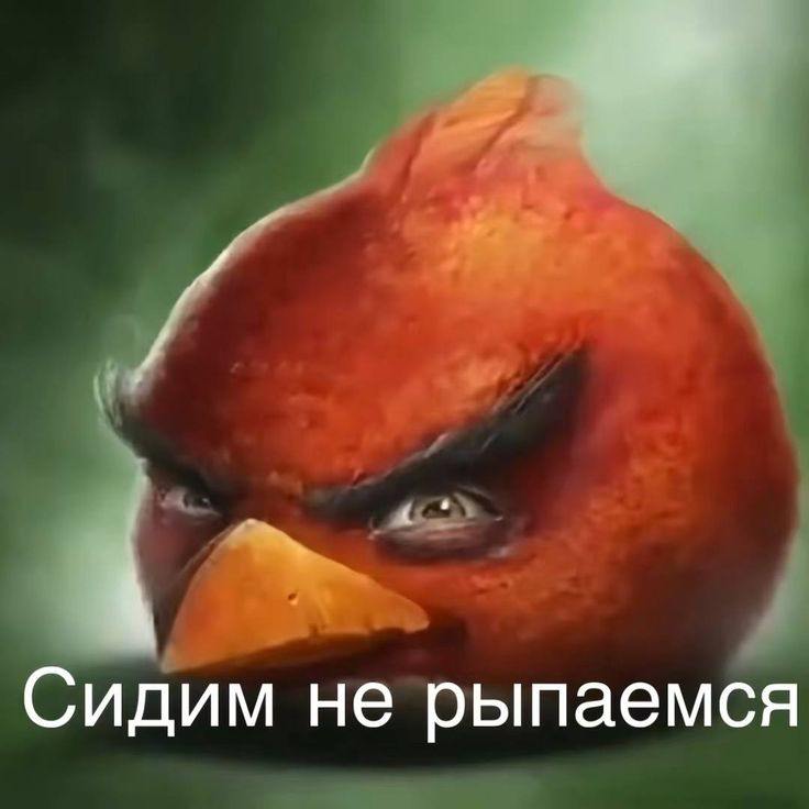 да я такой я энгри берд
